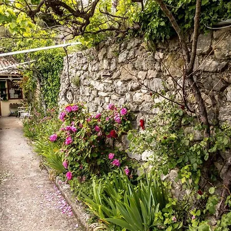Bed and Breakfast D'hotes Le Bellevue 3*