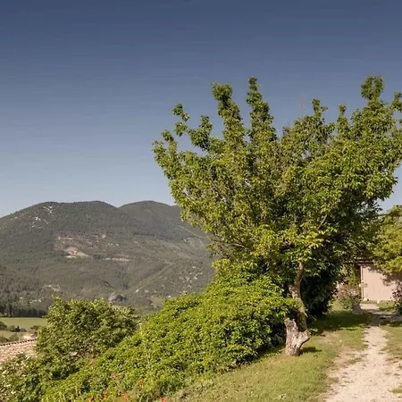 D'hotes Le Bellevue Bed & Breakfast Montbrun-les-Bains